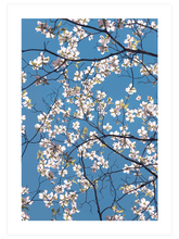 Badem Ağacı - Art Print